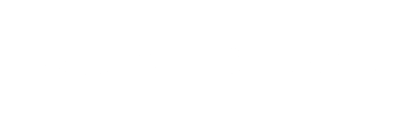 MetroNet logo